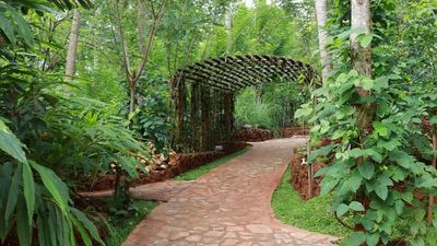 5-Day Sri Lanka: Elephant Orphanage – Temple of the Tooth – Tea Factory - Image - 10949